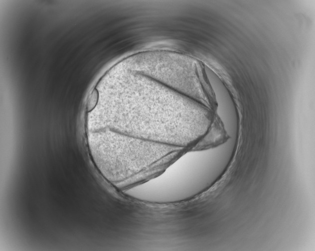 X0000096450816200802141511