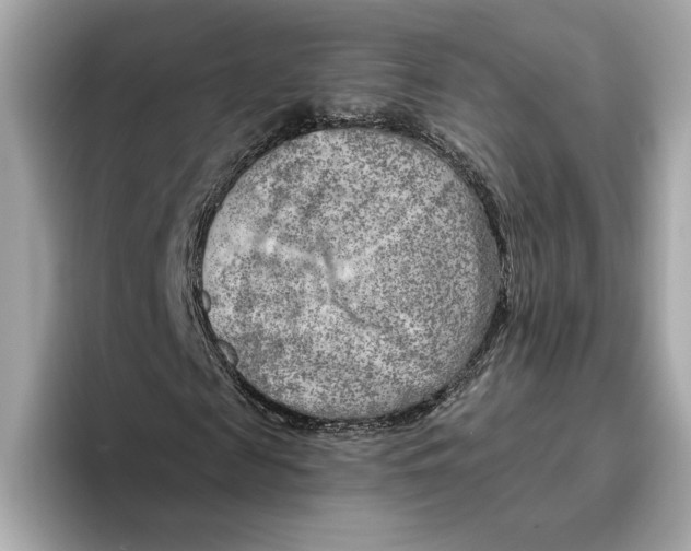 X0000096450817200802141510