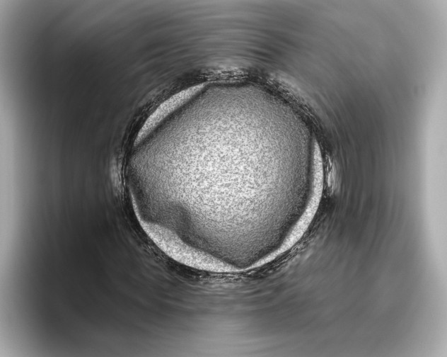 X0000096450819200802141510