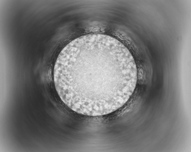 X0000096450820200802141510