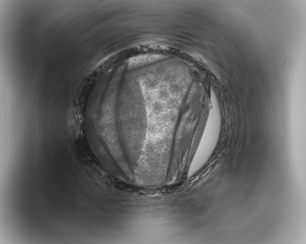 X0000096450822200802141510