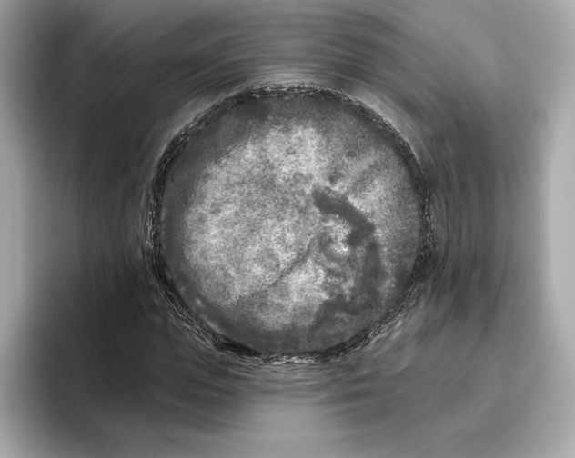 X0000096450823200802141510