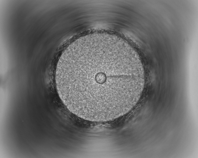 X0000096450824200802141510