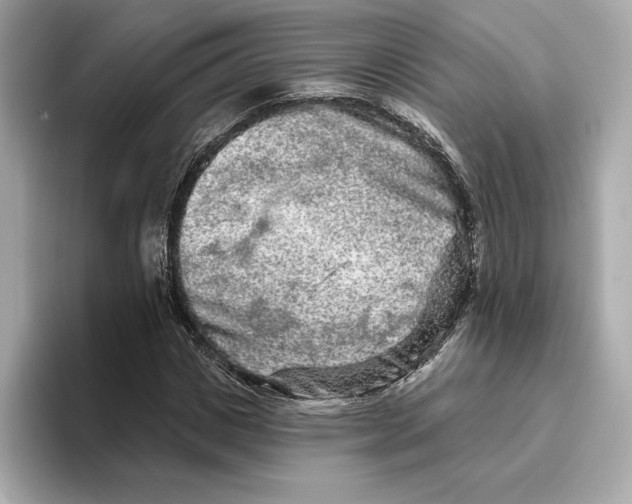 X0000096450825200802141510