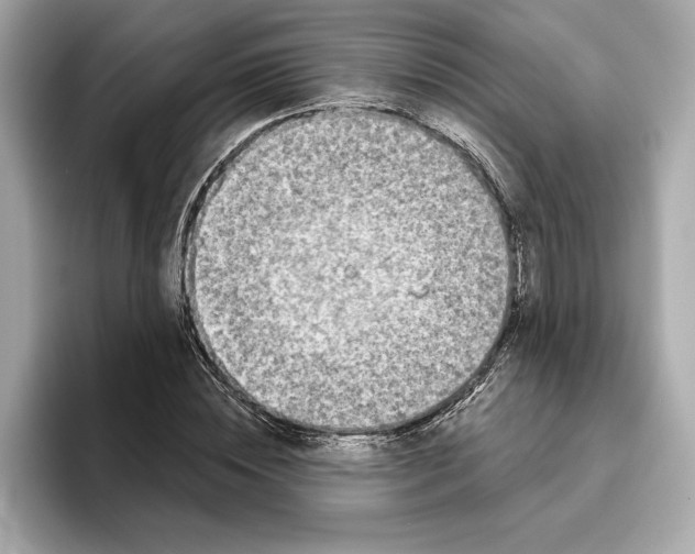 X0000096450828200802141510