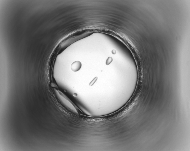 X0000096450830200802141510