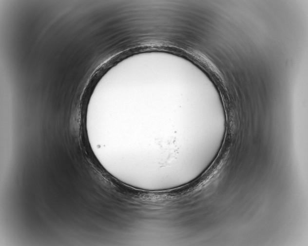 X0000096450831200802141510