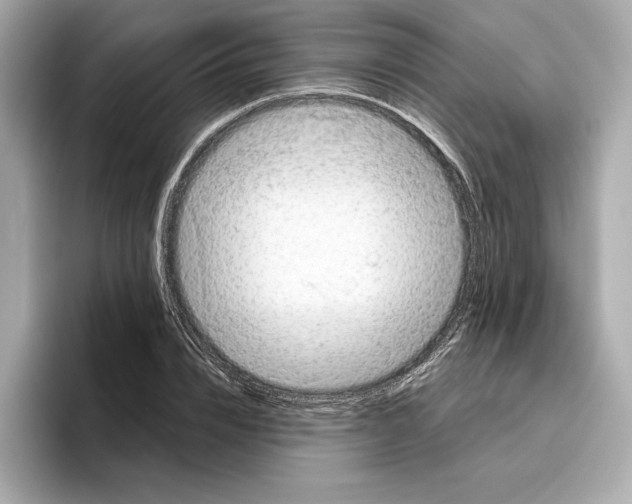 X0000096450832200802141510