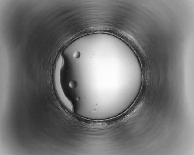 X0000096450833200802141510