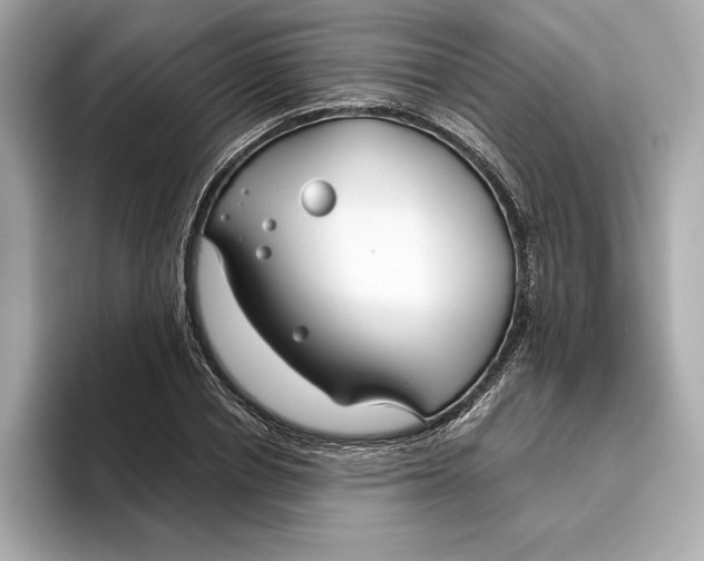 X0000096450834200802141510