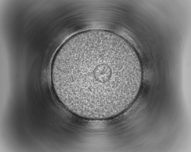 X0000096450836200802141510