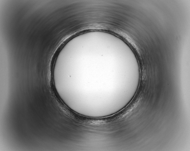 X0000096450837200802141510