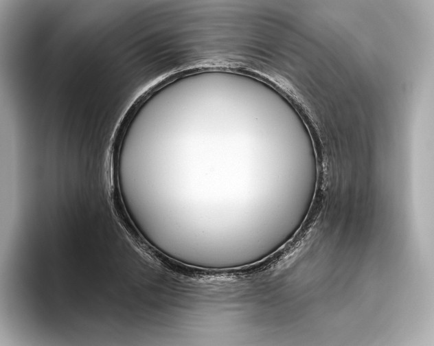 X0000096450838200802141510