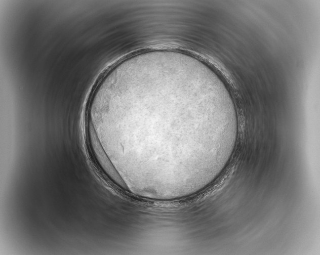 X0000096450840200802141510