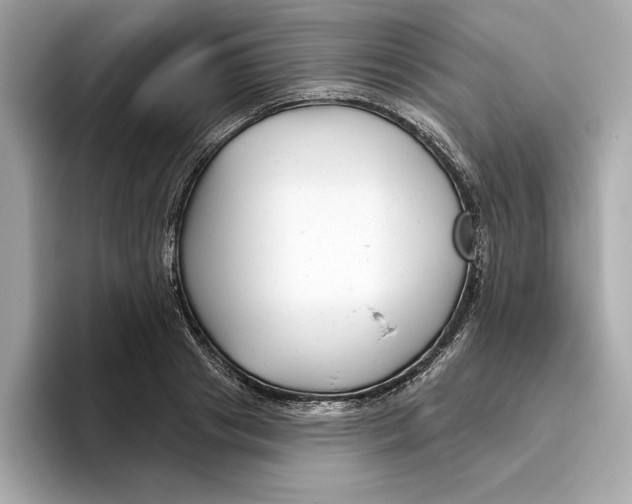 X0000096450841200802141510