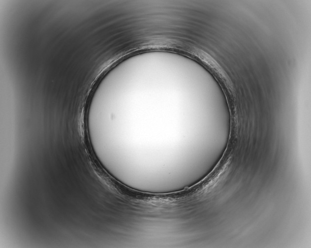 X0000096450842200802141510