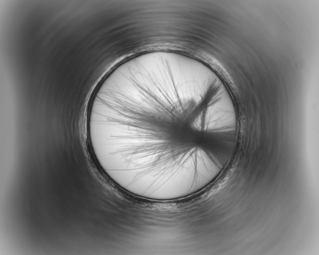 X0000096450844200802141510