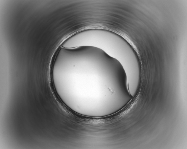 X0000096450845200802141510