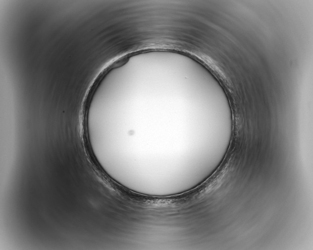 X0000096450846200802141510