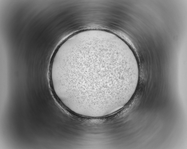 X0000096450847200802141510