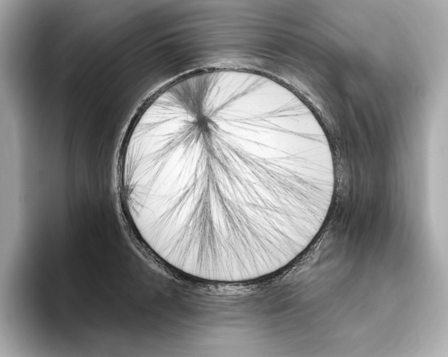 X0000096450848200802141510