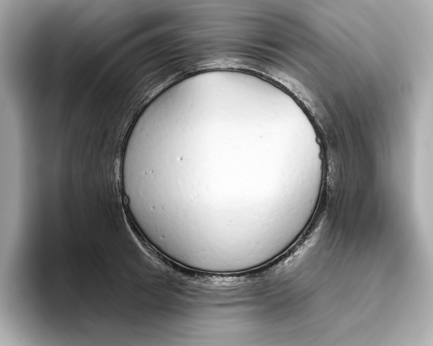 X0000096450849200802141511