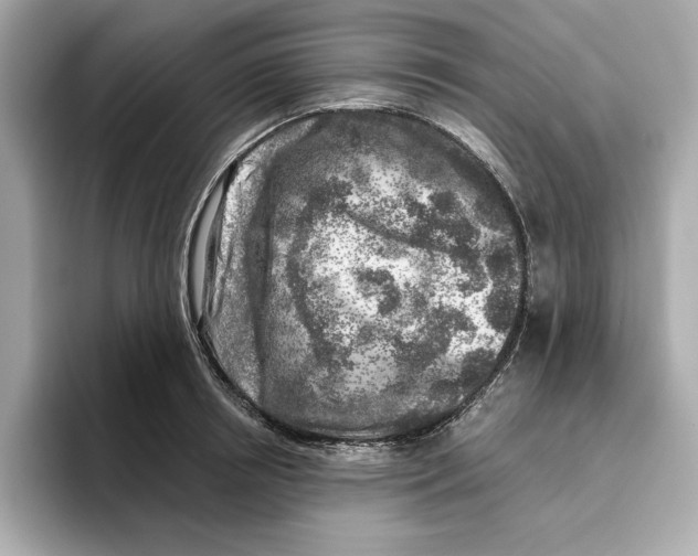 X0000096450850200802141511