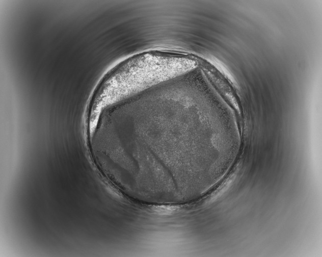 X0000096450854200802141511