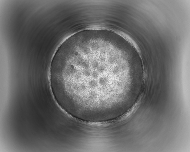 X0000096450855200802141511