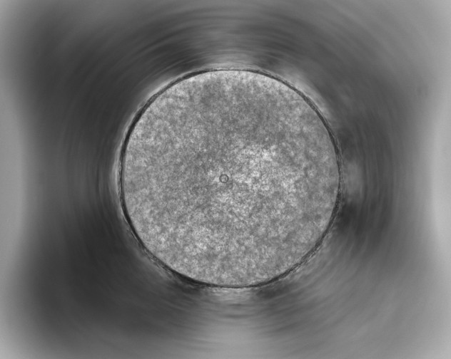 X0000096450856200802141511