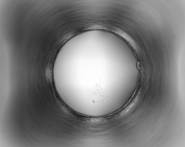 X0000096450857200802141511