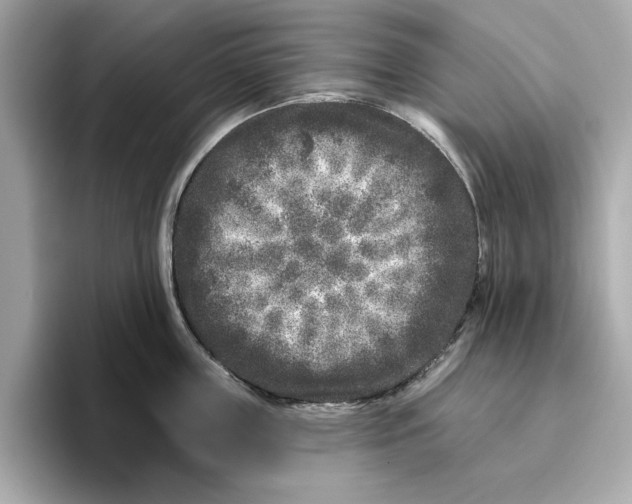 X0000096450859200802141511