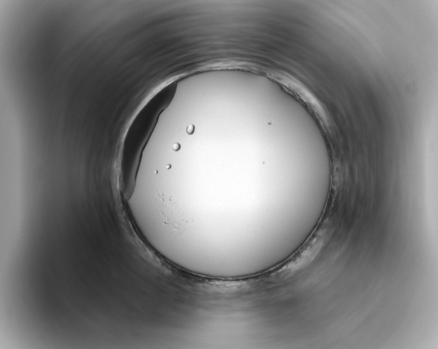 X0000096450860200802141511