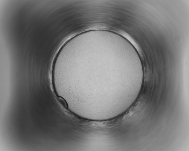 X0000096450861200802141511