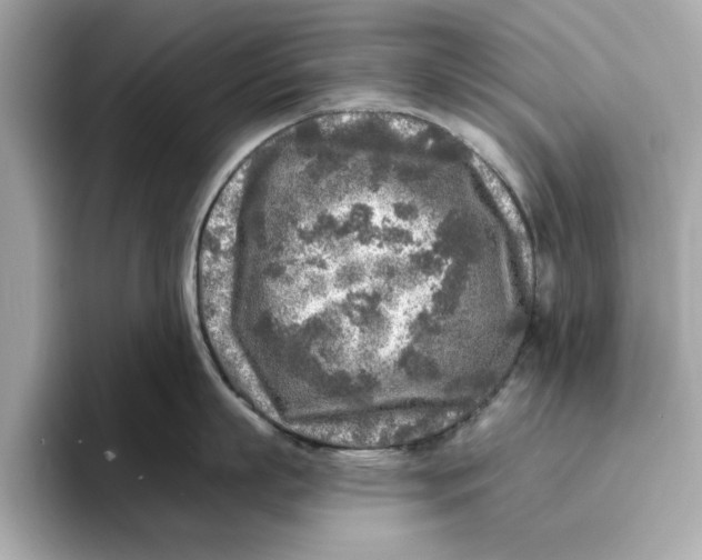 X0000096450863200802141511