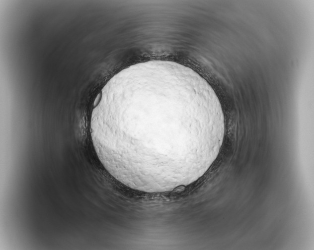 X0000096450866200802141510