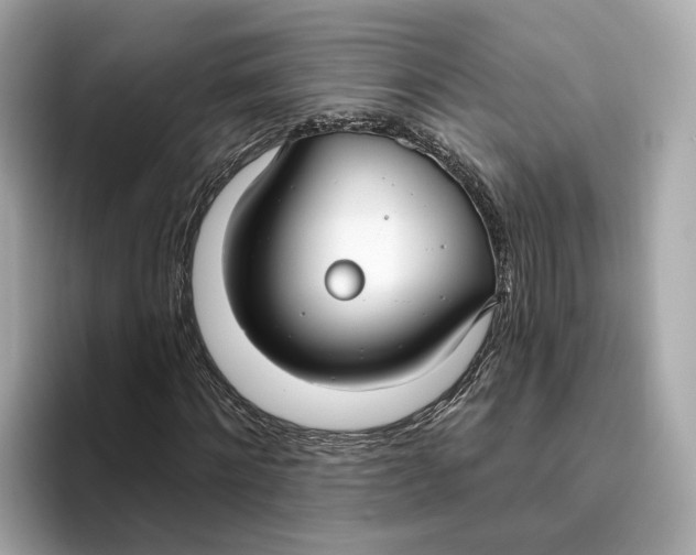 X0000096450868200802141510