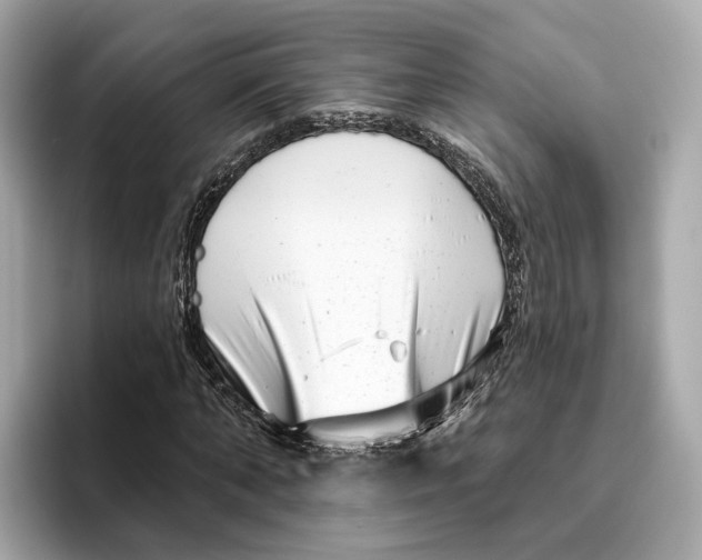 X0000096450870200802141510