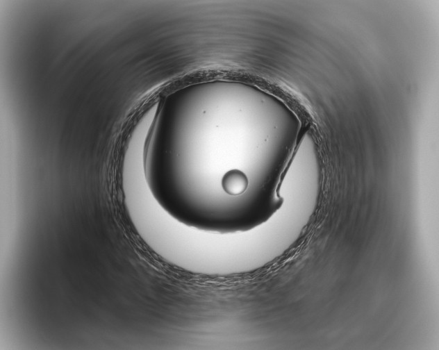 X0000096450872200802141510