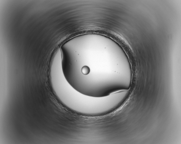 X0000096450873200802141510