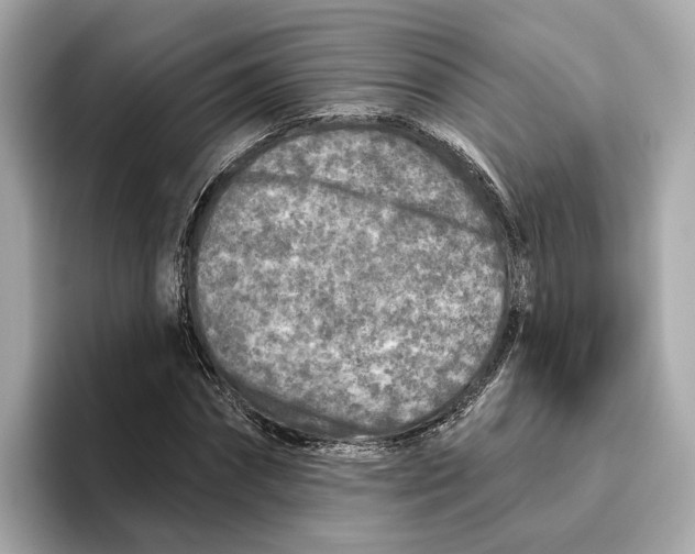 X0000096450874200802141510