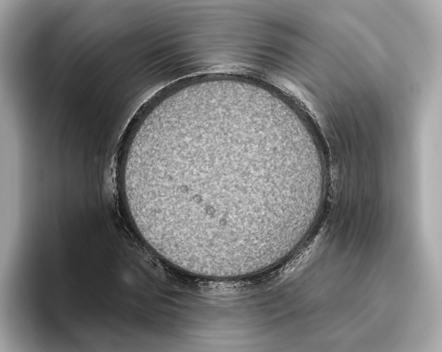 X0000096450875200802141510