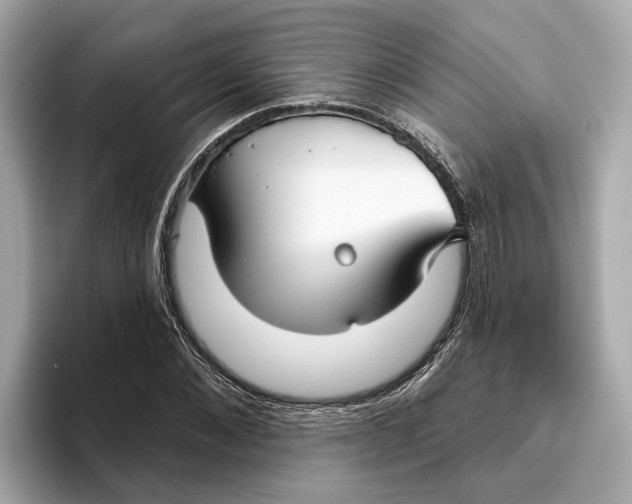 X0000096450876200802141510