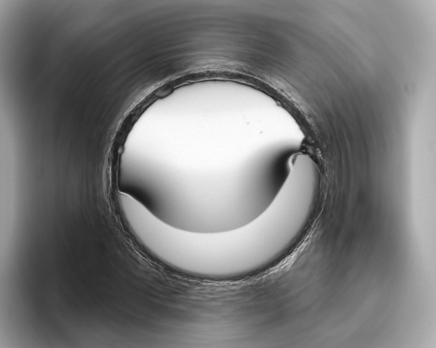 X0000096450877200802141510