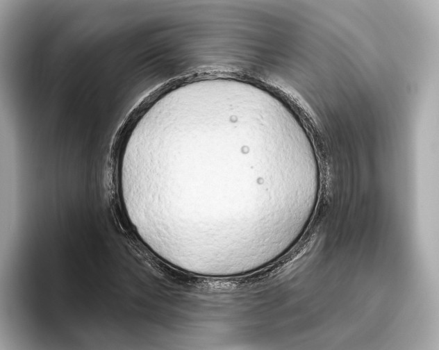 X0000096450878200802141510