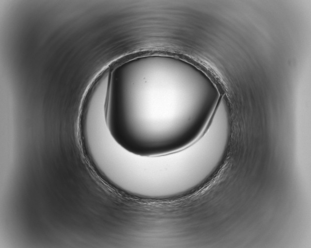 X0000096450880200802141510