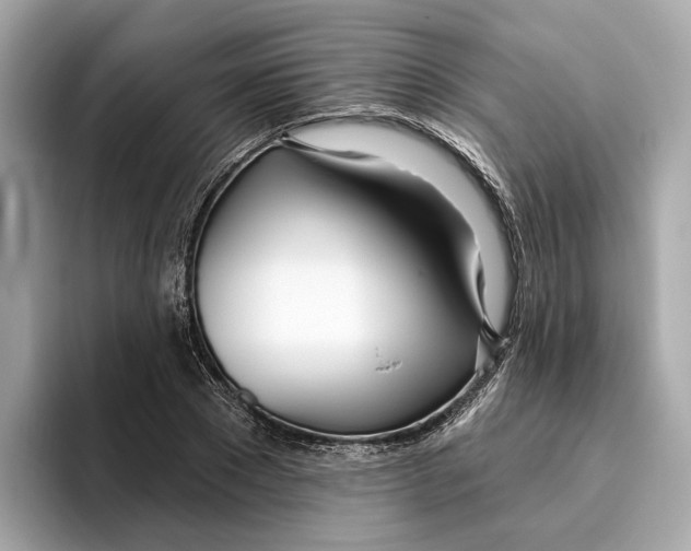 X0000096450881200802141510