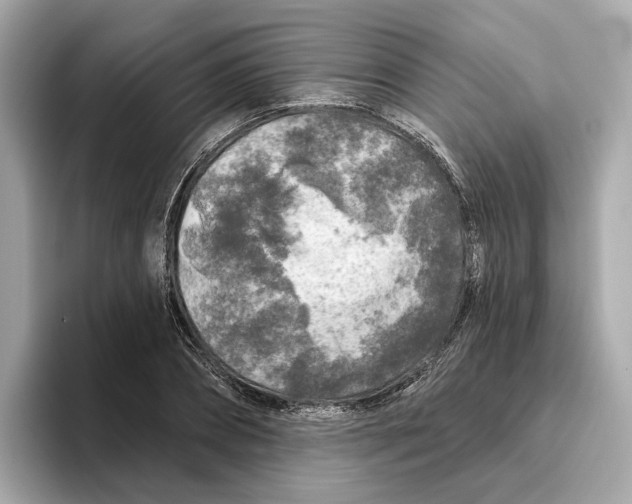 X0000096450882200802141510