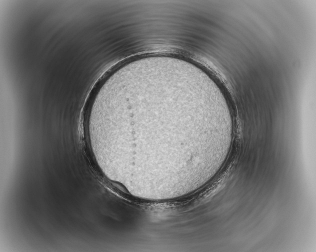 X0000096450883200802141510