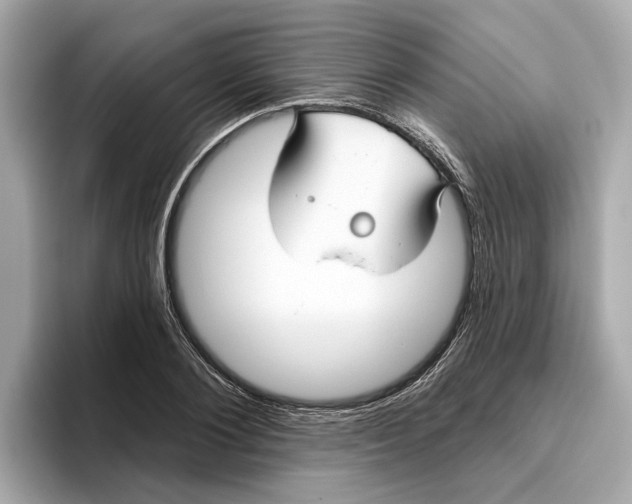 X0000096450884200802141510